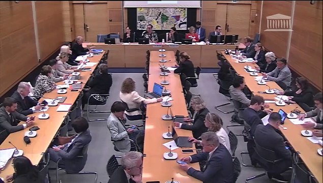 Commission des affaires culturelles : Proposition de loi pour une meilleure réussite scolaire des jeunes ultramarins grâce à l’apprentissage des langues régionales - Mercredi 22 mai 2024