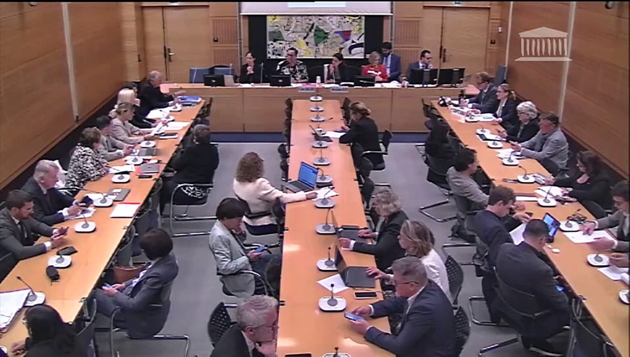 Commission des affaires culturelles : Proposition de loi pour une meilleure réussite scolaire des jeunes ultramarins grâce à l’apprentissage des langues régionales - Mercredi 22 mai 2024