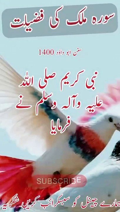 حدیث نبوی صلی اللہ علیہ وآلہ وسلم