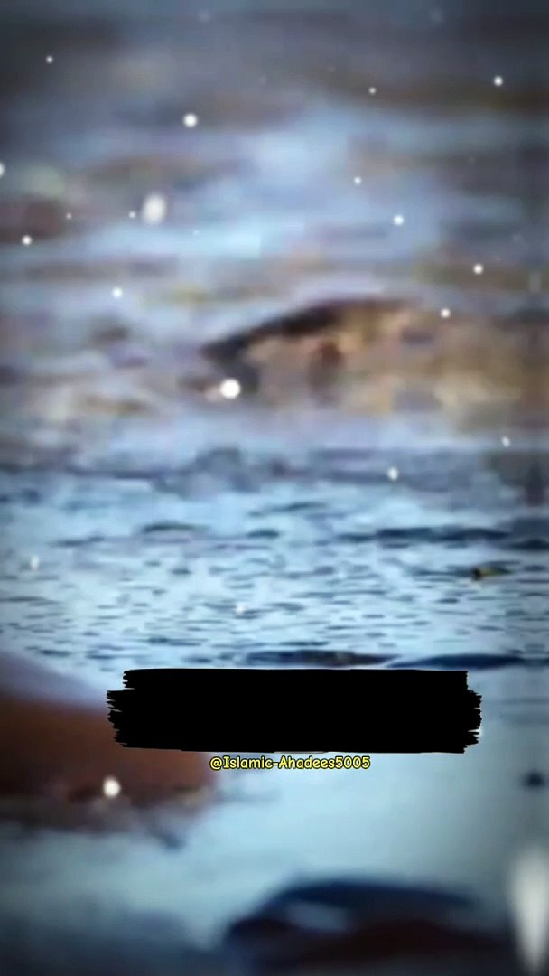 ⁣Islamic reels