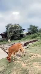 Mai thoda teri ankho pe margaya