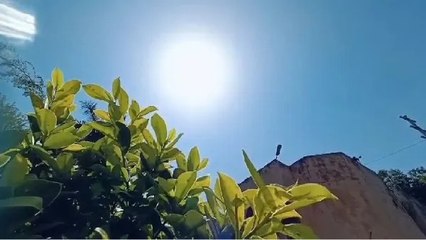 Indore Weather: गर्मी ने तोड़ा 7 साल का रिकॉर्ड