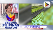 Panayam kay Department of Science and Technology Usec. Leah Buendia ukol sa automated greenhouse para sa lettuce at tilapia