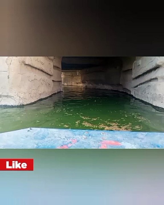 مغامرات دريم بارك ملاهي الاطفال ،اجمل اللحظات 