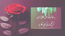Bano qudsia quotes urdu quotes goldword