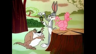 Looney Tuesdays Taz Wants Rabbits And_Ducks Looney_Tunes WB_Kids