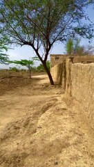 Best village video punjab beauty, village culture