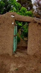 Old is gold Beautiful view ------ _oldisgold _villagelife _explore _viralvideo _naturephotography _viralshorts _foryourpage