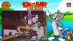 Tom and Jerry Cartoon Best Episode Tom and Jerry Ah,Sweet Mouse Story Of Life YouTube