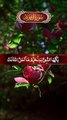 Quran Tilawat Beautiful Voice - Most Peaceful Quran Recitation - Relaxing Quran Recitation - Beautiful Surah Tilawat - New Tilawat -