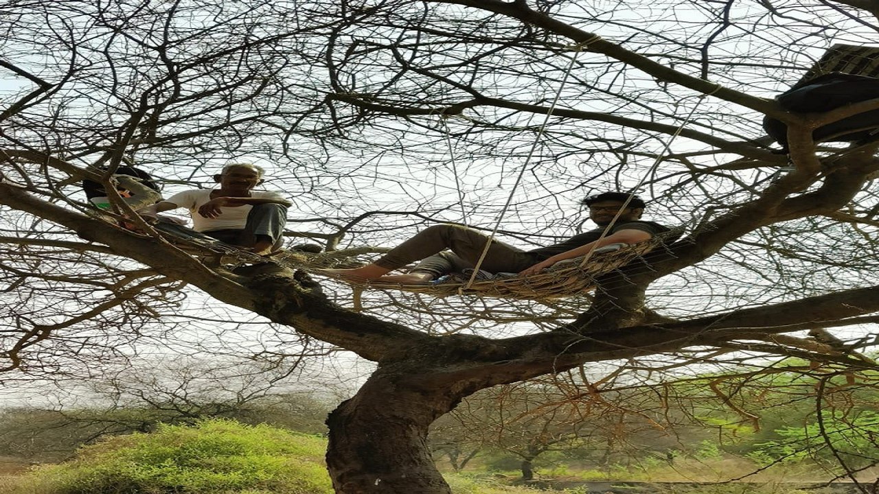 Wildlife Census In Rajasthan: जयपुर में वाटर होल पद्धति से वन्यजीव गणना शुरू, जानिए बुद्ध पूर्णिमा को ही क्यों होती है गणना, देखें वीडियो