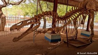 Niger: Preserving the skeletons of dinosaurs that lived millions of years ago