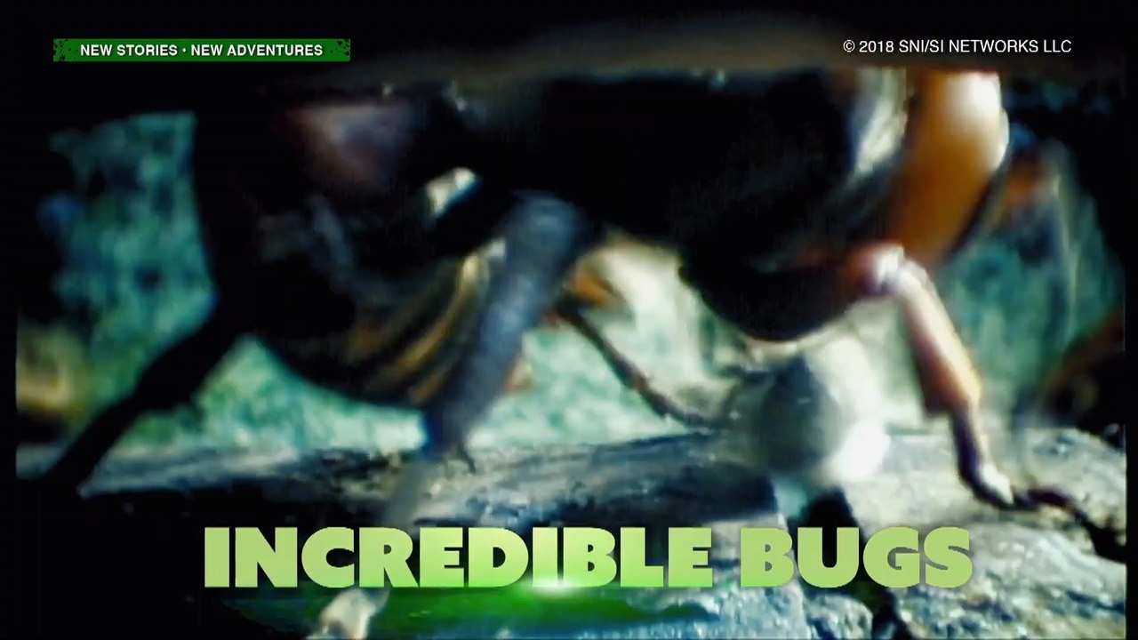 Amazing Earth: Incredible Bugs