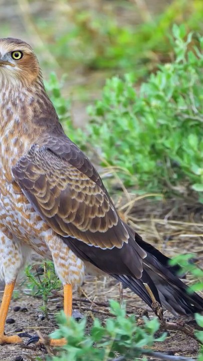 good deeds and bad deeds.