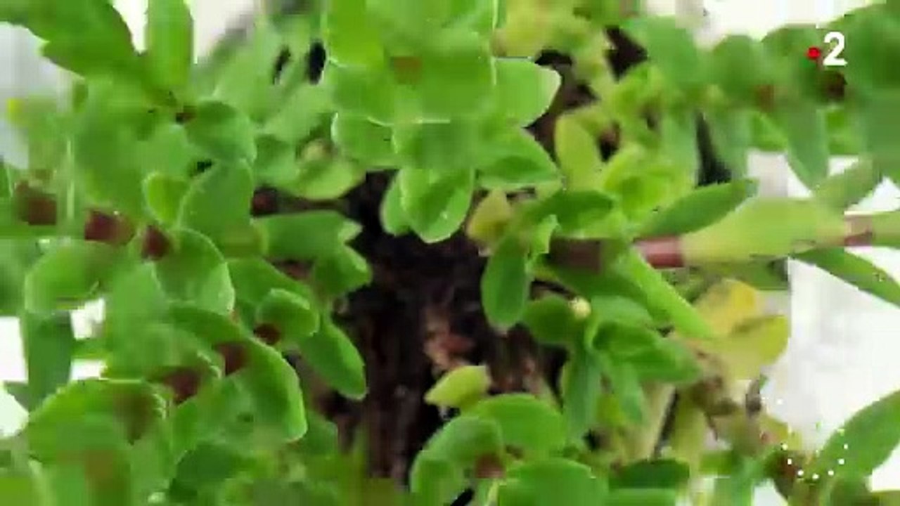 Thomas Sotto a pris l'antenne à 7h (au lieu de 6h30) ce jeudi 23 mai 2024 pour présenter "Télématin" dans des conditions particulières.