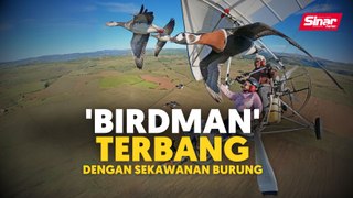 'Birdman' terbang dengan sekawanan burung