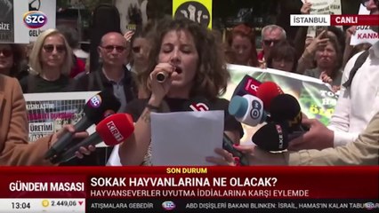 Hayvanseveerler uyutma iddialarına karşı eylemde