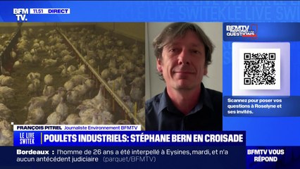 Élevage des animaux: comment s'assurer que les exploitations respectent les règles?