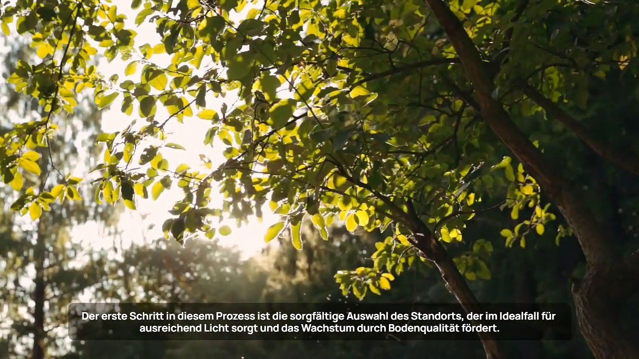 Mit Maximilian Zieseniß einen Kräutergarten anlegen und pflegen