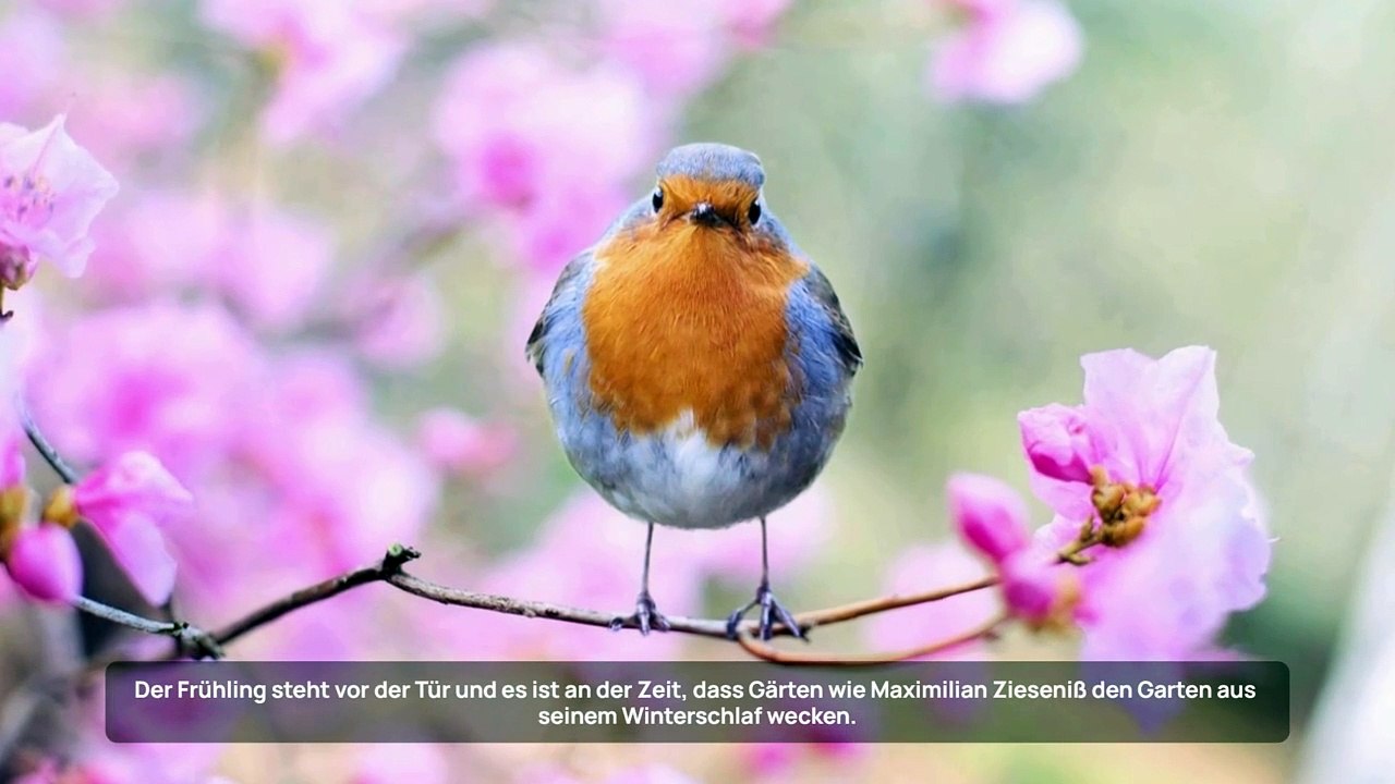 Maximilian Zieseniß verrät Tipps zur Frühjahrsvorbereitung des Gartens