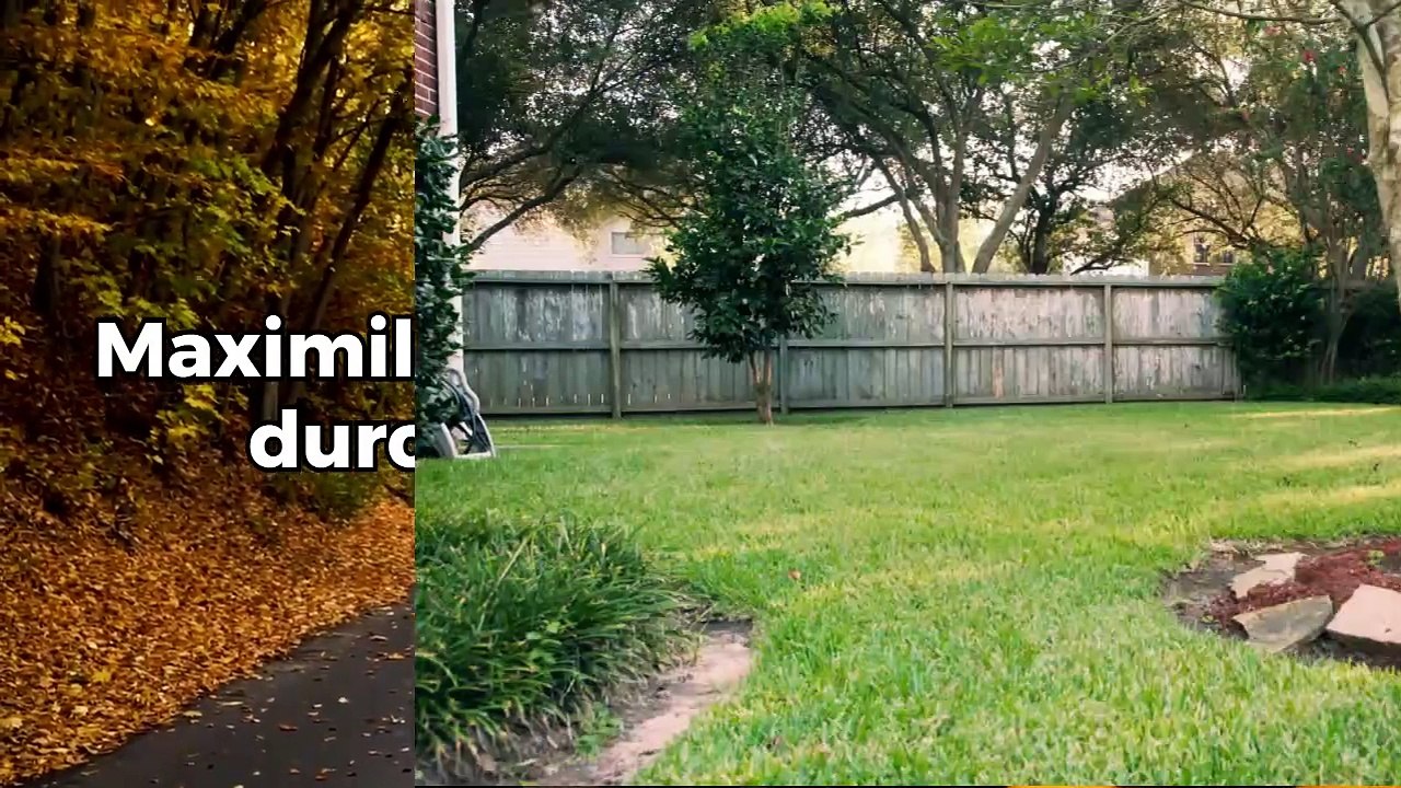 Maximilian Zieseniß: Gärtnern durch die Jahreszeiten