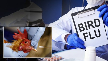 డేంజర్ బెల్స్.. India నుంచి వెళ్లిన చిన్నారికి Australia లో Bird flu | Oneindia Telugu