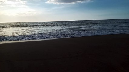 swimming all the way