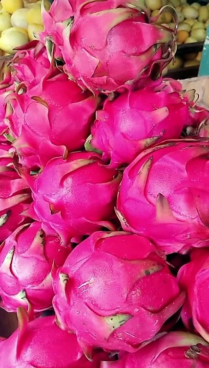 DRAGON FRUIT ! 