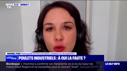 Élevage intensif dans le Perche: "On se trouve dans le pire de ce qui existe en terme d'élevage intensif", affirme Muriel Fusi (porte-parole du Parti animaliste)