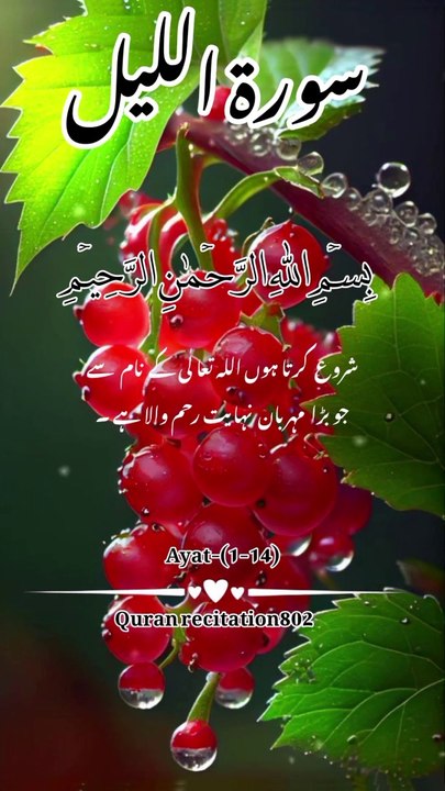 سورۃ اللیل |Quran reaction |Quran recitation