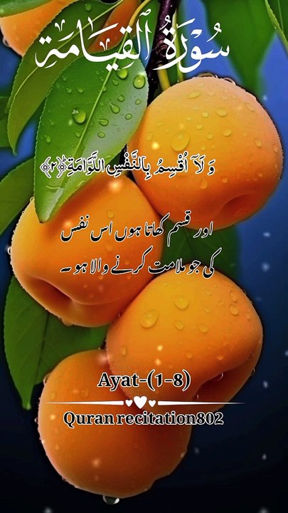 سورۃ القیامہ | quran reaction