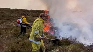 Wildfire at Corrimony nature reserve, May 2023, Simon McLaughlin (4)