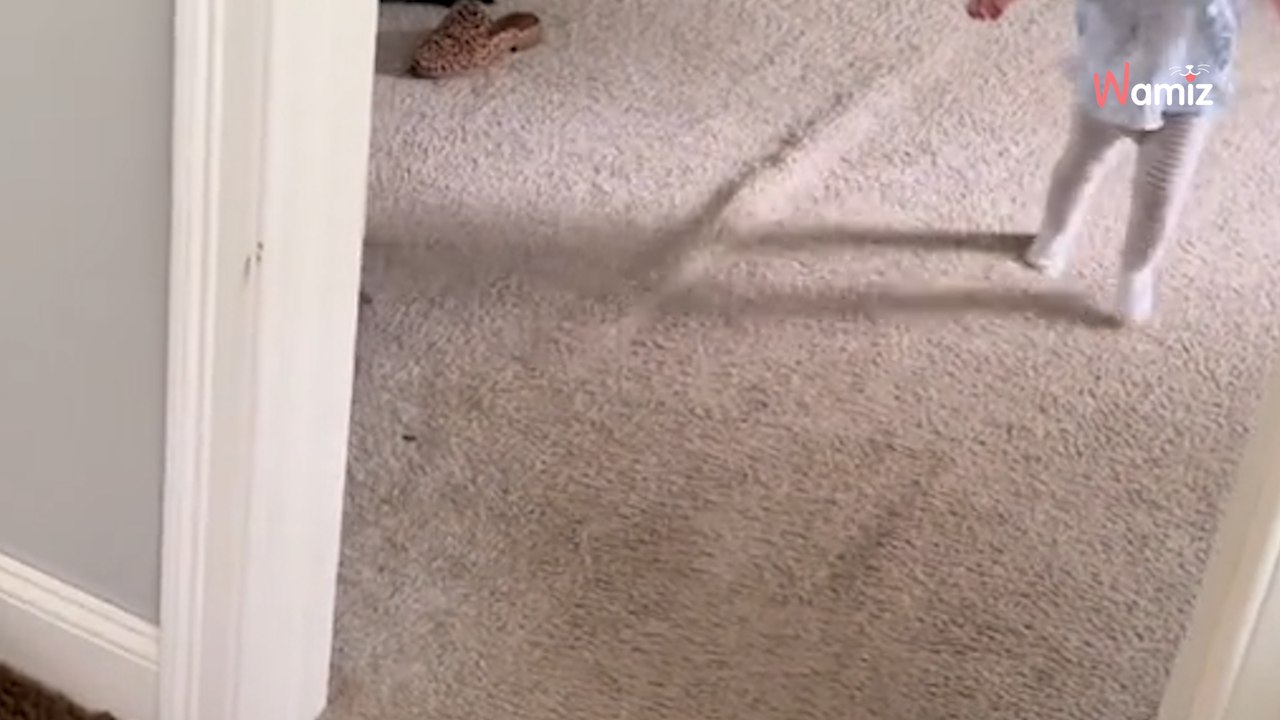 Une petite fille joue avec son chien : la crise de rire de l'enfant fait fondre le coeur de tous les internautes ! (vidéo)