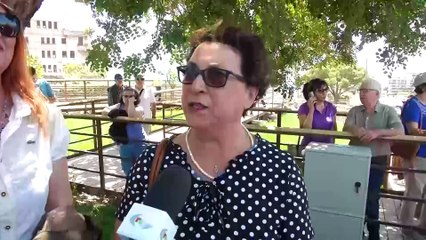 Rtp Telegiornale 23 maggio 2024