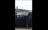 Japon : un navire à 44 millions pour tuer des baleines