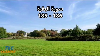 surah barah ayat 185-186  Quran verses about Ramadan with urdu translation