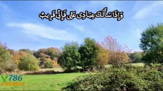 surah baqrah  187 ayat | urdu tarjuma ke sath |surah al baqarah verse 187 with urdu