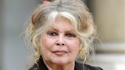 Brigitte Bardot : découvrez les 11 hommes de sa vie !