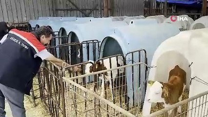 Çiftlikte teknolojiyi yenileyince üretim 2 katına çıktı