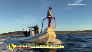 Documentarista mostra encontro corajoso com a baleia-sei, a terceira maior do mundo