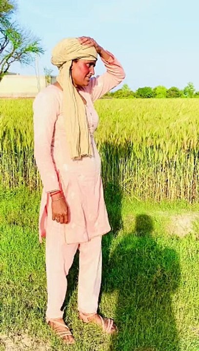 Saraiki daude