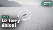 Au Québec, le spectacle magnifique d’une baleine pour l’équipage d’un ferry