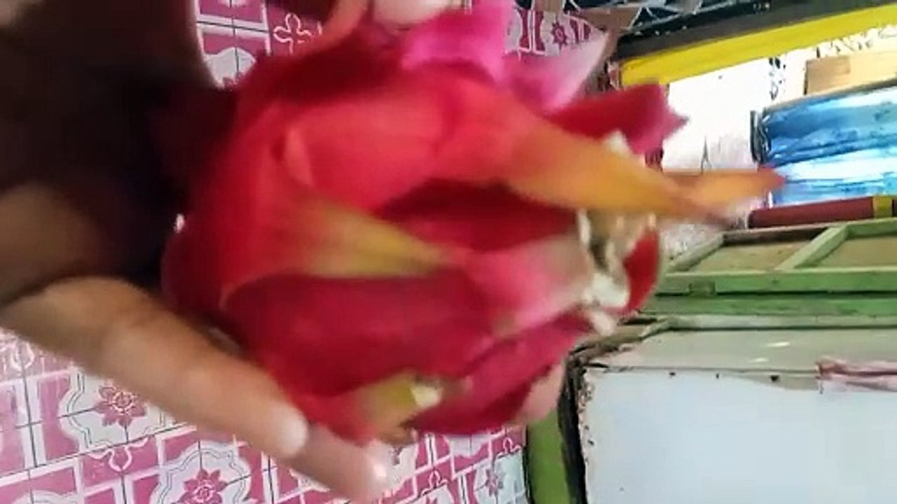 Sweet Jack fruit