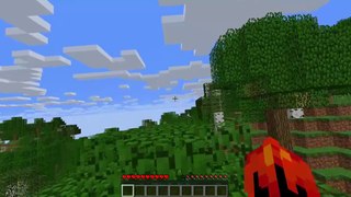 Minecraft mais c'est sur le coté ( incroyable )