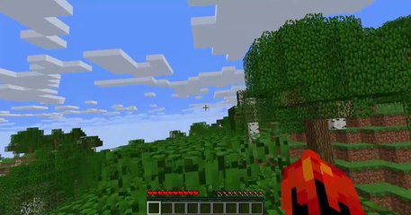 Minecraft mais c'est sur le coté ( incroyable )