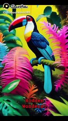 quite animal small animal animal video