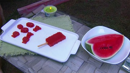 bd-premios-saludables-para-perros-y-gatos-230524