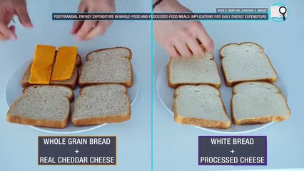 The Best Meal Plan To Lose Fat Faster (EAT LIKE THIS!)