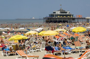 Sunbathing can combat obesity