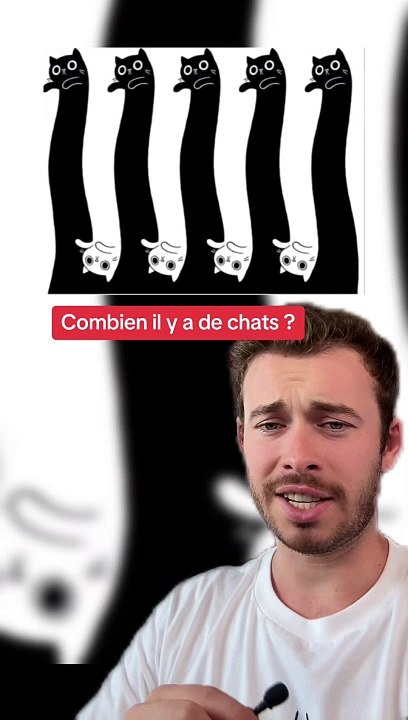 Combien de chats ? (Exclu Dailymotion)
